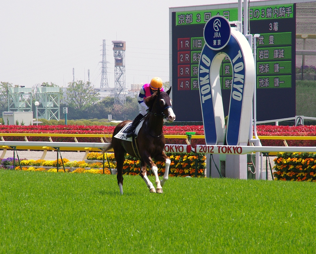 東京競馬①