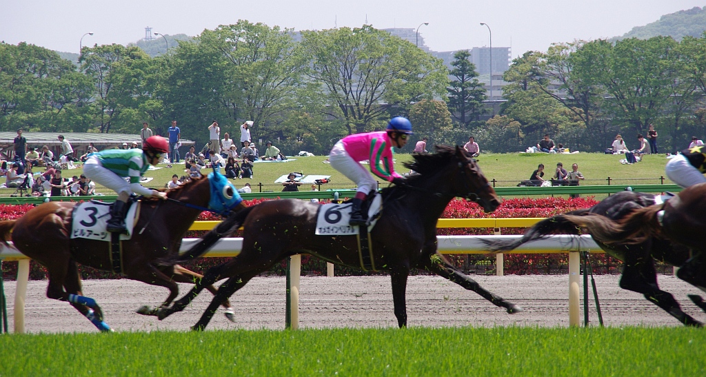 東京競馬②